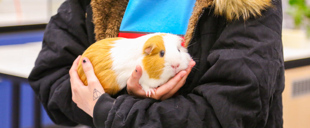 Student Holding Hamster